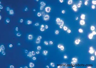Nanodiamanten: Ultra-Precieze Magnetische Sensoren Voor Biomedische en Kwantum Toepassingen