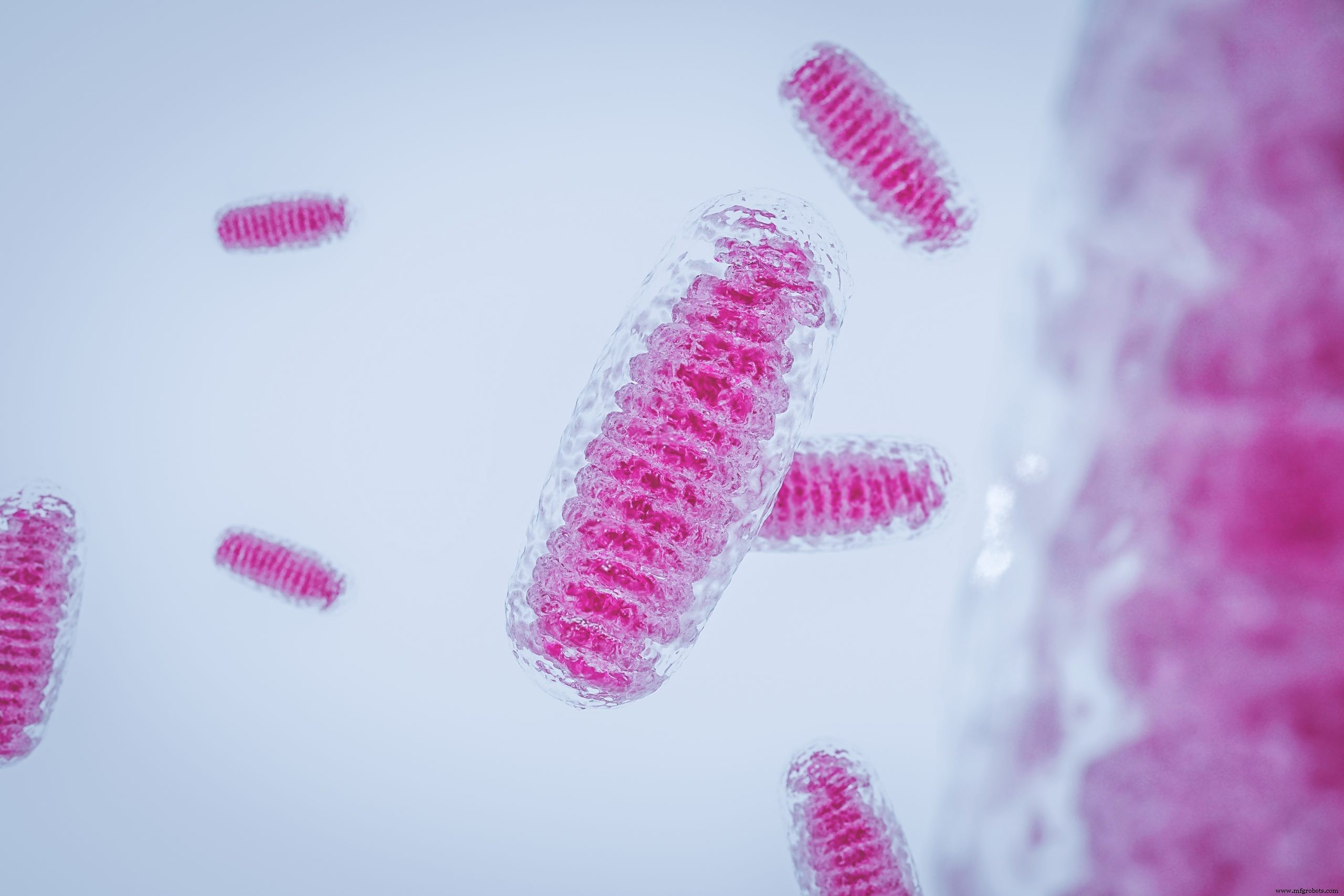 Voorspelling van pH-Afhankelijke Ontkoppeling Toxiciteit van Organische Zuren: Een Biofysisch Screening Instrument