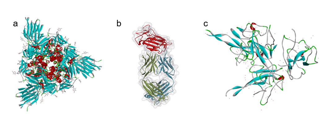 SARS-CoV-2 Genomen Decoderen: DNA & Antistof Tests voor COVID-19