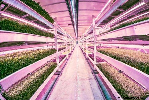 Vijf Belangrijke AgTech-innovaties Die De Landbouw In 2016 Transformeerden