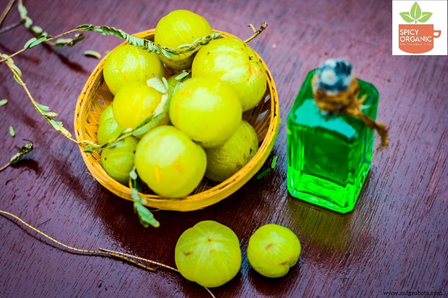 Kan Biologisch Amla Poeder Grijze Haren Echt Keeren? Bewijzen & Praktische Tips