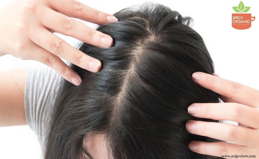 Kan Biologisch Amla Poeder Grijze Haren Echt Keeren? Bewijzen & Praktische Tips