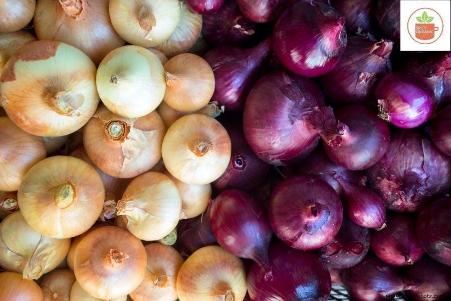 Waarom Biologische Uien Kweken Uit Zaden Een Slimme Keuze Is