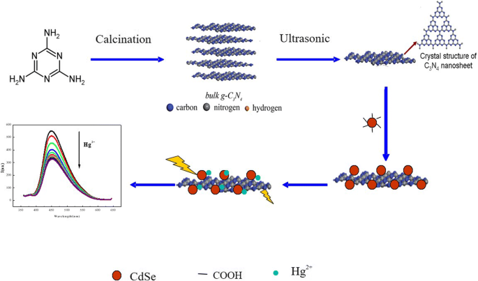 Hoog Gevoelige en Selectieve Hg²⁺ Detectie via FRET tussen CdSe Kwantum Dots en g-C₃N₄ Nanosheets