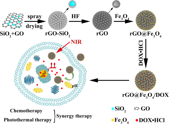 Eenvoudige Fabricage van rGO@Fe3O4-microsferen voor magnetisch gerichte, NIR-responsieve chemo-fotothermale kankertherapie