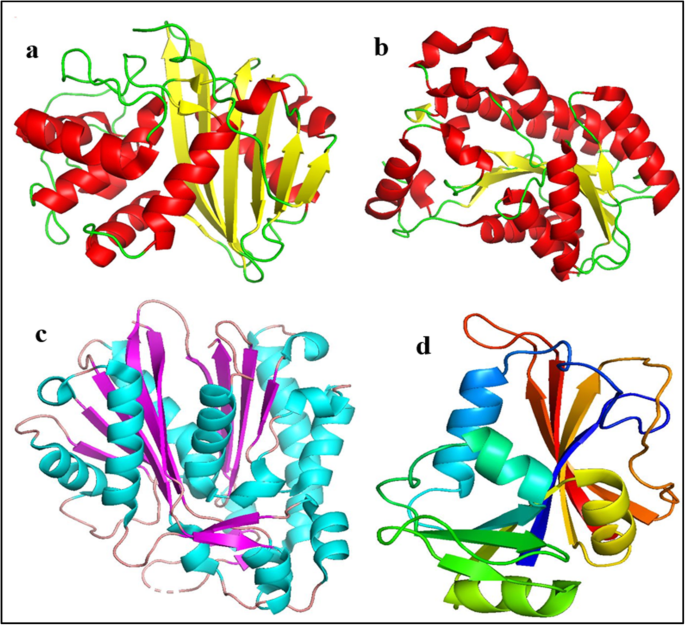 Economische synthese en vergelijkende katalytische & antimicrobiële prestaties van Nb- en Ta-selenide/telluride nancomposieten
