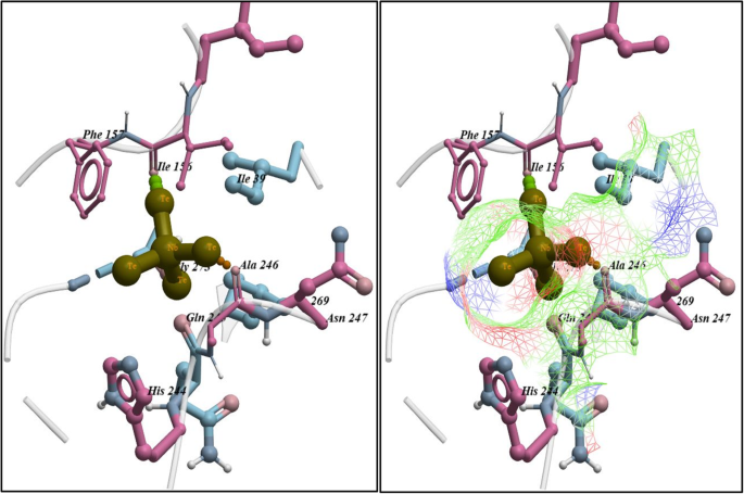 Economische synthese en vergelijkende katalytische & antimicrobiële prestaties van Nb- en Ta-selenide/telluride nancomposieten