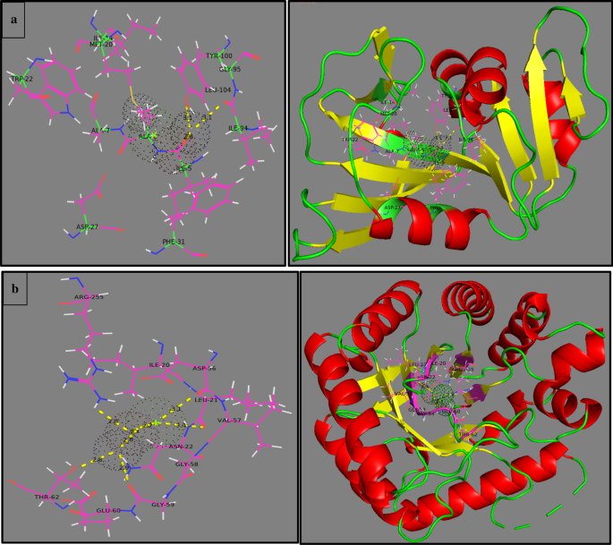 Verbeterde fotokatalytische en antimicrobiële prestaties van Mg-gedote ZnO nanoroden: Structuurkarakterisatie en moleculaire docking inzichten
