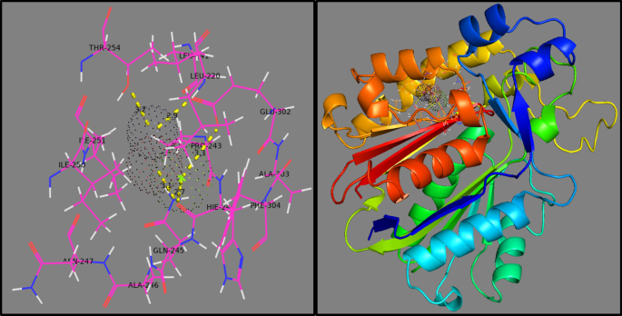 Verbeterde fotokatalytische en antimicrobiële prestaties van Mg-gedote ZnO nanoroden: Structuurkarakterisatie en moleculaire docking inzichten
