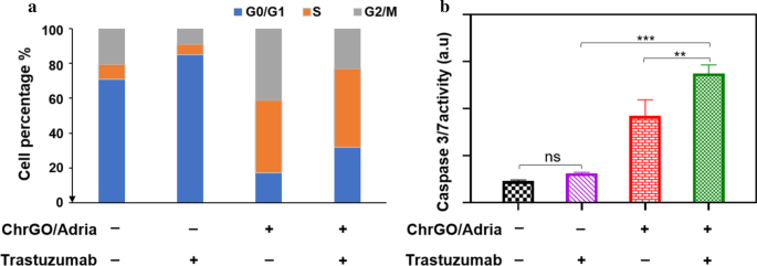 Microgolf-gereed, chitosaan-gecoate grafene-oxide voor gerichte adriamycine afgifte en verbeterde borstkankertherapie