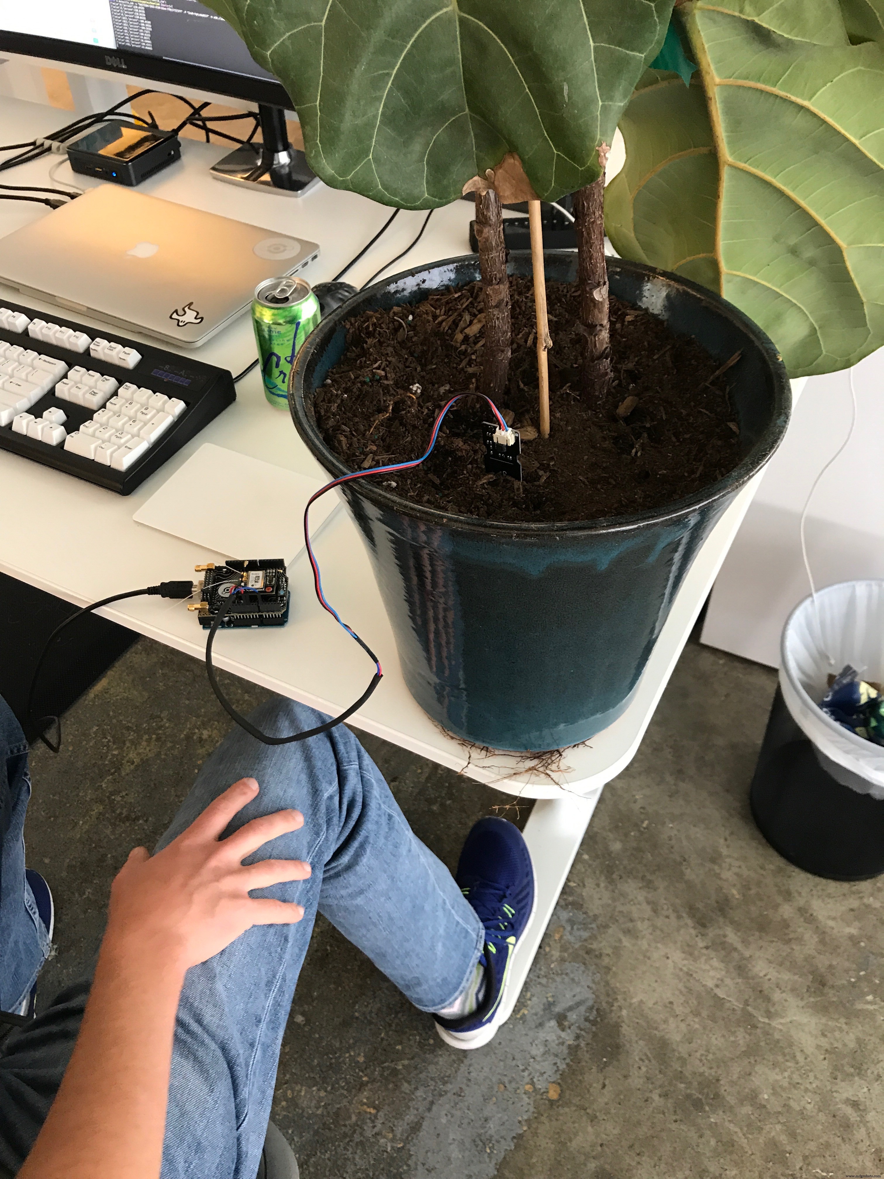 Draadloze bodemvochtigheidssensorsysteem met Helium & DFRobot – Real-time plantenzorg