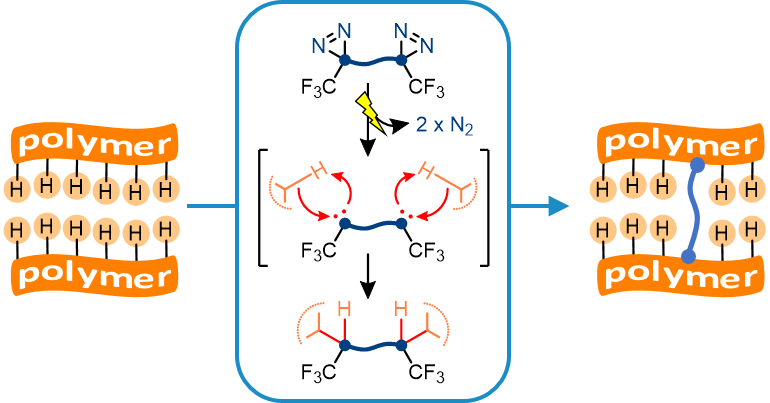 XlynX Materials Onthult BondLynx: Revolutionair Polymer Moleculaire Lijm voor Duurzame Binding
