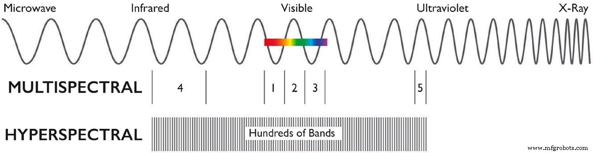 Voedselveiligheid gerevolutioneerd: Snelle, accurate waardevisualisatie met hyperspectrale imaging