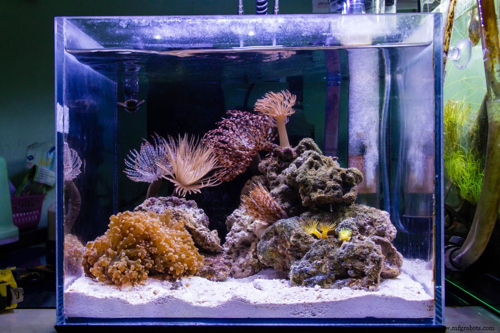 DIY LED Aquariumverlichting voor Plantenaquariums: Complete Gids