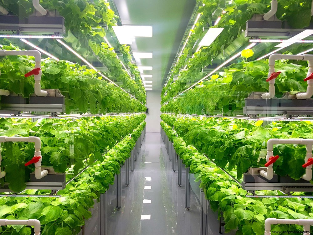 De Juiste LED Kiezen: Gids voor Types en Toepassingen voor Je Volgende Project